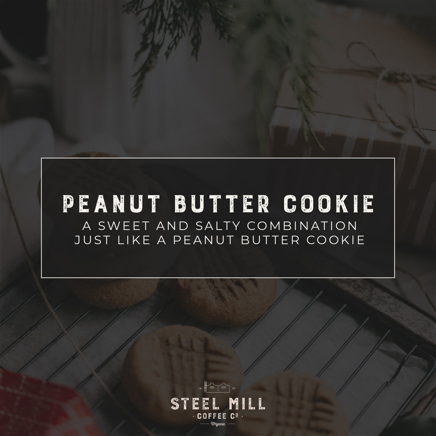 Peanut Butter Cookie Coffee