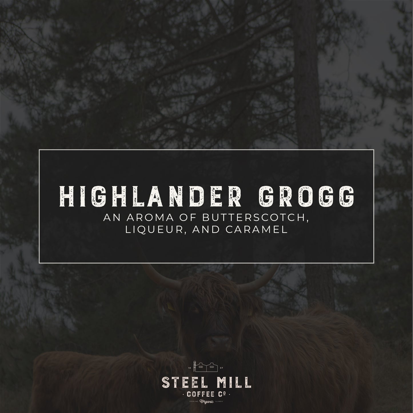 Highlander Grogg Coffee